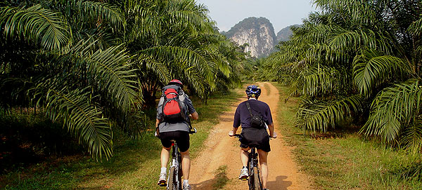 Cycling Krabi